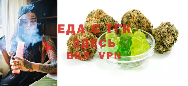 мдпв Елабуга