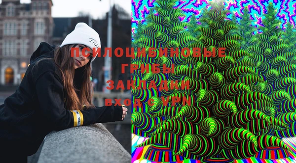 ГАЛЛЮЦИНОГЕННЫЕ ГРИБЫ Абаза