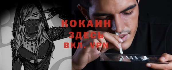 индика Абдулино