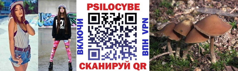 Галлюциногенные грибы мухоморы  Ак-Довурак 